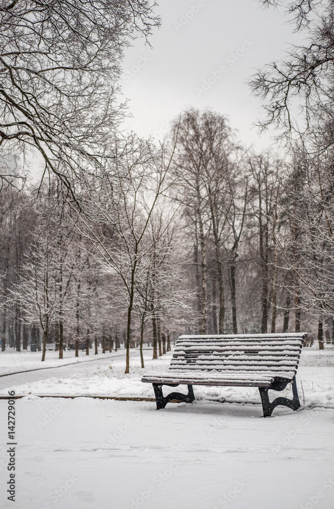 Moscow, Sokol district, Leningradsky park, Snowy day. Vacant bench standing in the park