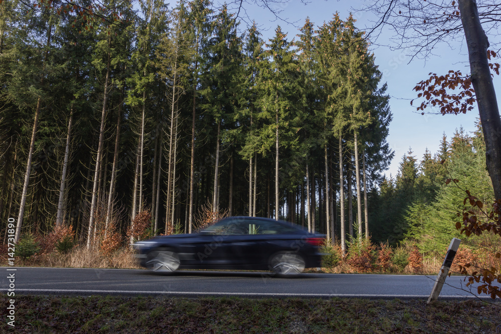 Fototapeta premium Wald und Straße: Auto bewegt sich schnell