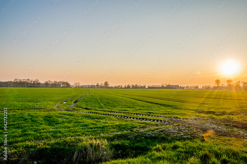 sunset in Europe Germany with a green field
