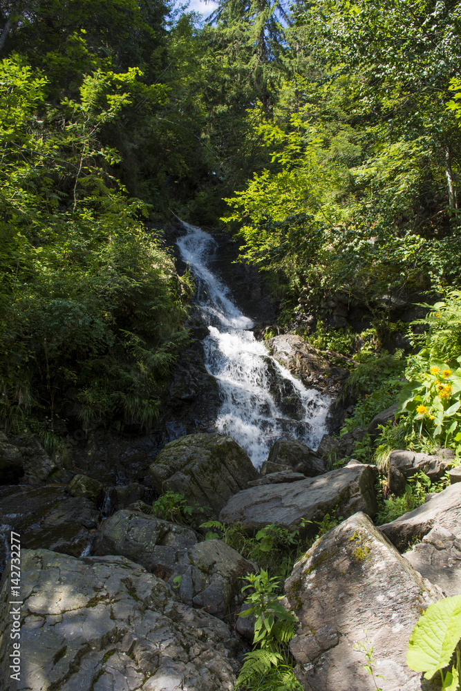 Waterfall on mountain river in Carpathian Mountains , Romania Waterfall on mountain river in Carpathian Mountains , Romania