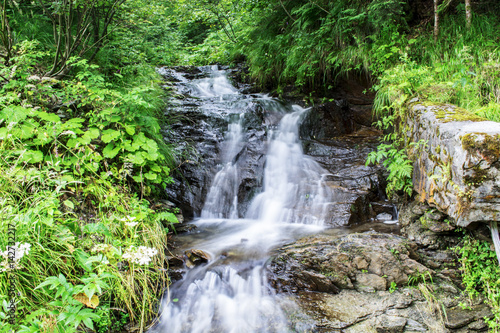 Waterfall on mountain river in Carpathian Mountains   Romania