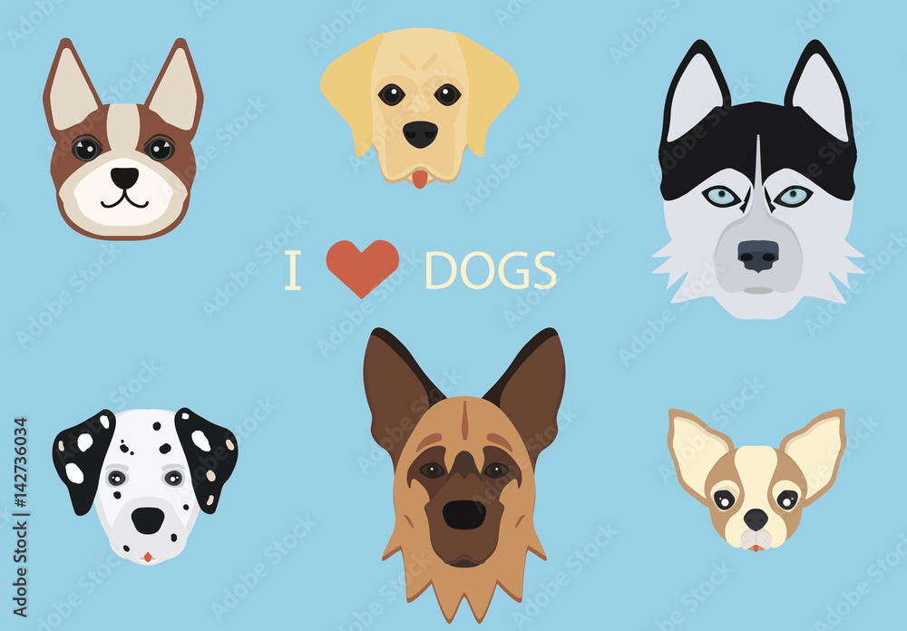 Set of flat cute cartoon dogs.
German Shepherd, Siberian Husky, Dalmatian, Boston Terrier, Labrador Retriever & Chihuahua. Flat style design isolated icons. Vector illustration. EPS 10. Set of flat cute cartoon dogs.
German Shepherd, Siberian Husky, Dalmatian, Boston Terrier, Labrador Retriever & Chihuahua. Flat style design isolated icons. Vector illustration. EPS 10.
