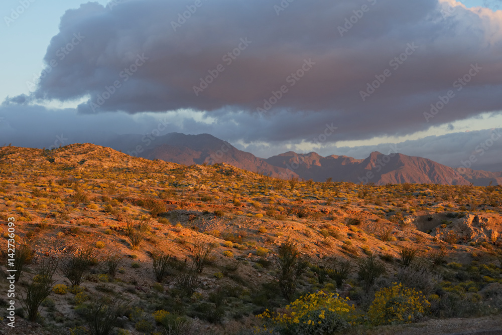 Anza-Borrego Desert at Sunrise