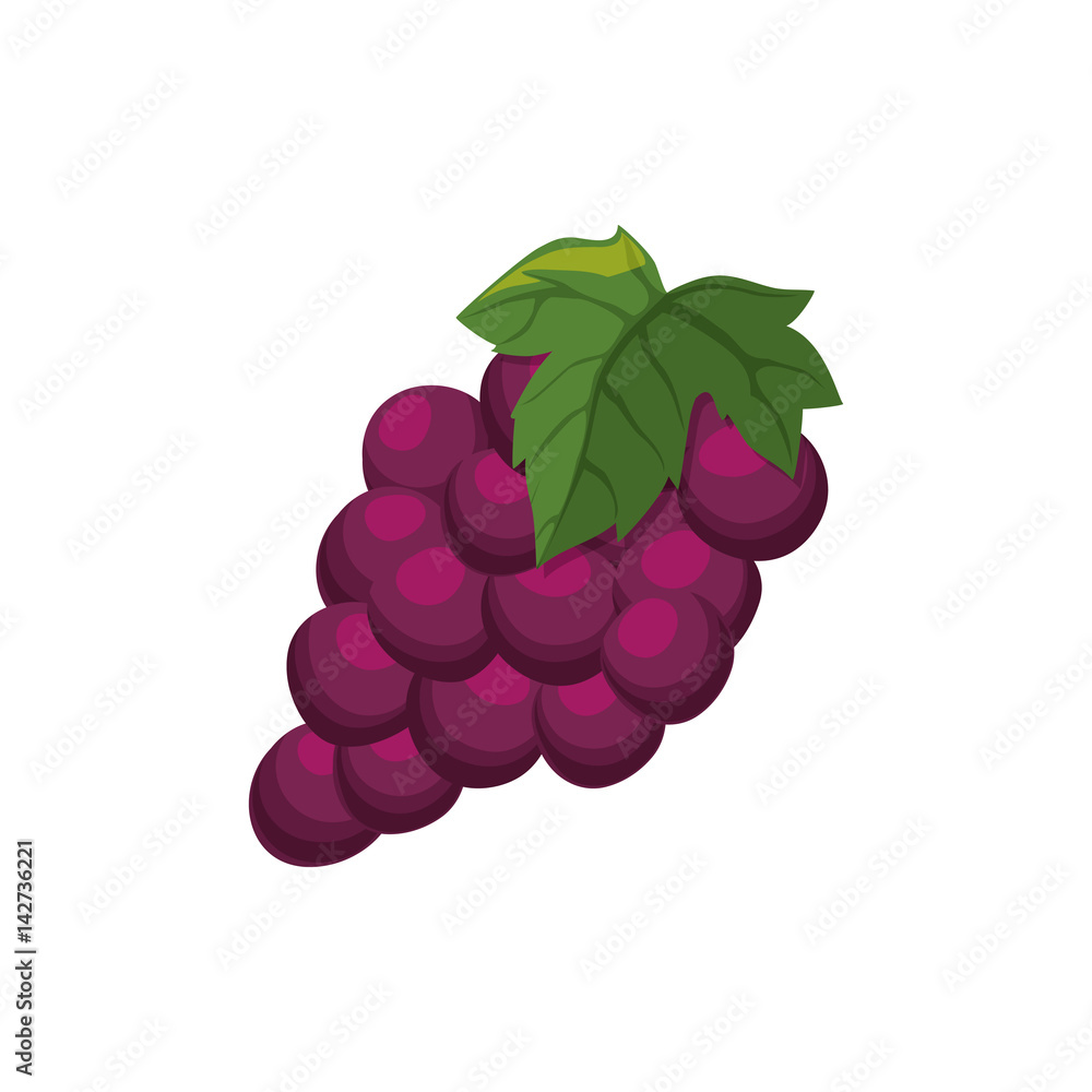 Delicious grapes fruit icon vector illustration graphic design