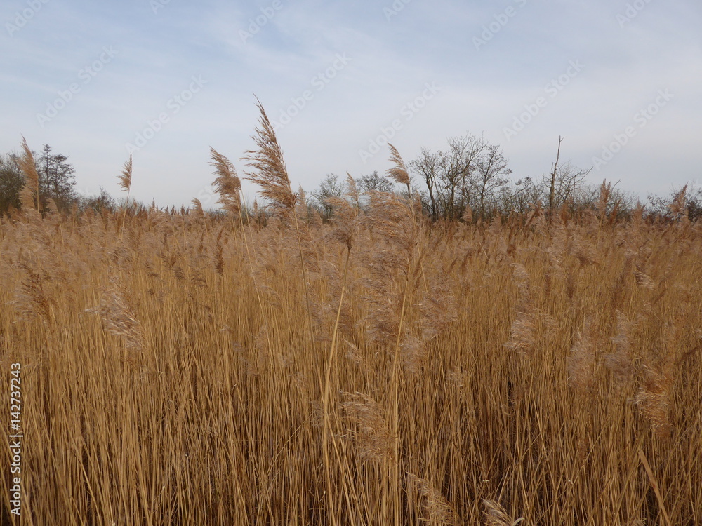 Fototapeta premium Exploring outside 2