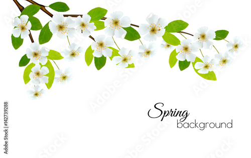 Spring background with white flowers. Vector.
