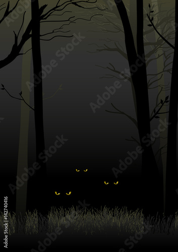 Scary eyes staring and lurking from dark woods