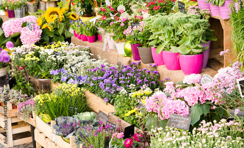 Blumenladen3103a