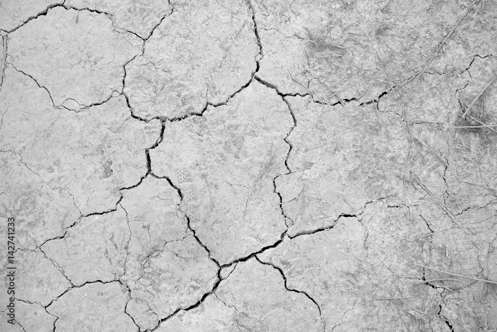 Dry cracked land. Slovakia Dry cracked land. Slovakia