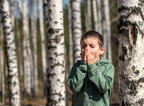 Little boy blowing her nose. Allergic to birch in early spring.