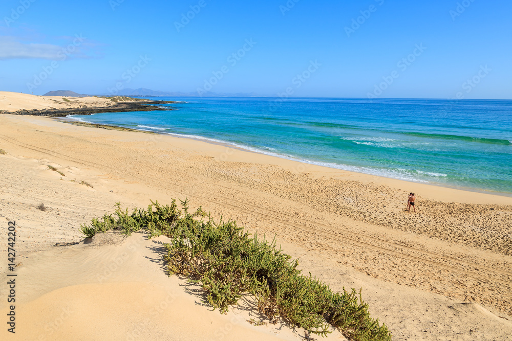 View of sand dunes and ocean in Corralejo National Park, Fuerteventura, Canary Islands, Spain View of sand dunes and ocean in Corralejo National Park, Fuerteventura, Canary Islands, Spain