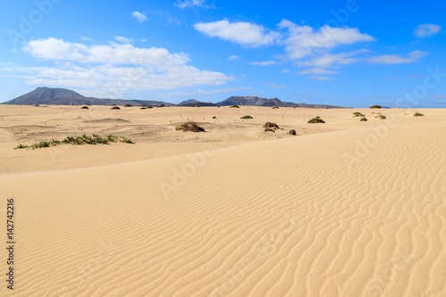 Sand dune in Corralejo National Park, Fuerteventura, Canary Islands, Spain