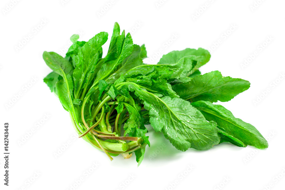 Bunch of spinach isolated on white background