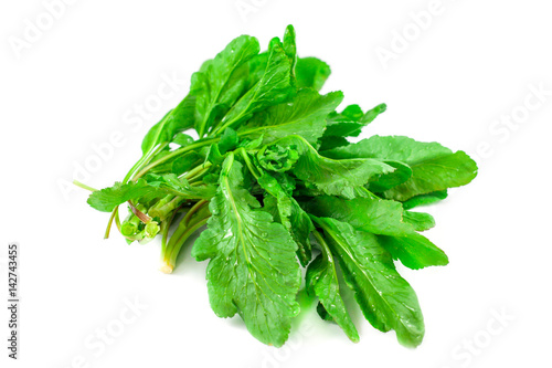 Bunch of spinach isolated on white background