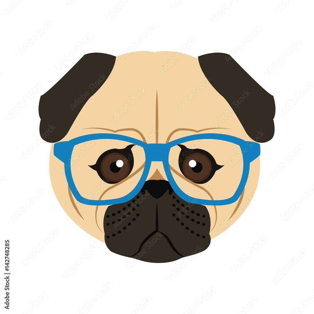 pug dog with glasses icon over white background. hipster style concept. colorful design. vector illustration