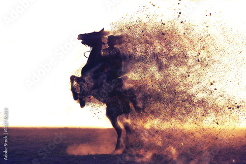 gallope boy jokey dispersion effect horse riding photo