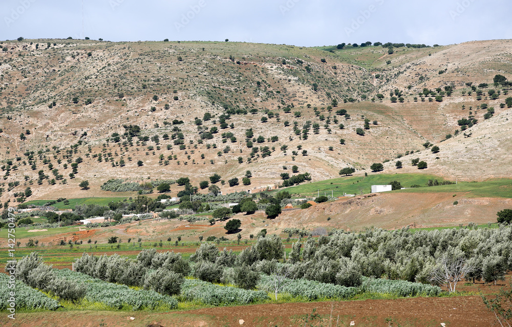 Fototapeta premium le Maroc