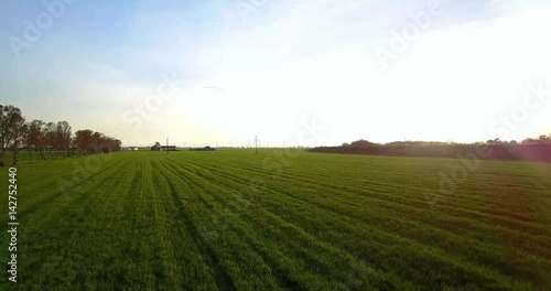 Wallpaper Mural Aerial shot. Beautiful sunset landscape of agriculture fields in Italy.  Torontodigital.ca