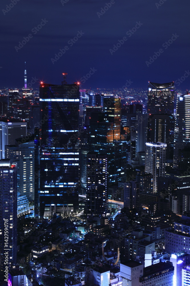 Fototapeta premium Tokyo night view
