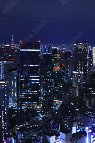 Wallpaper Mural Tokyo night view Torontodigital.ca