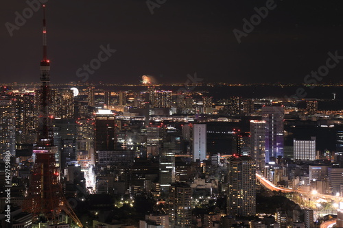 Tokyo night view © Heart's ace