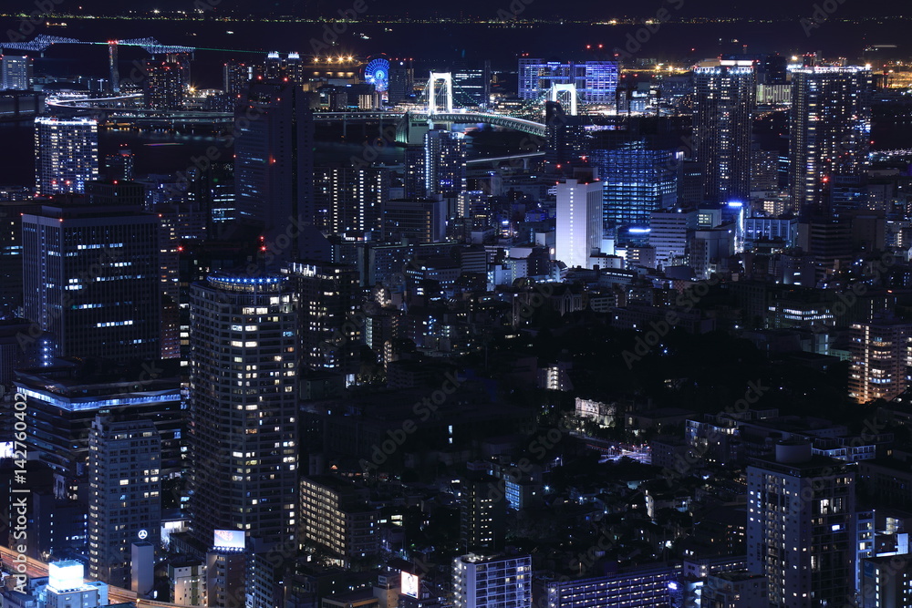 Obraz premium Tokyo night view