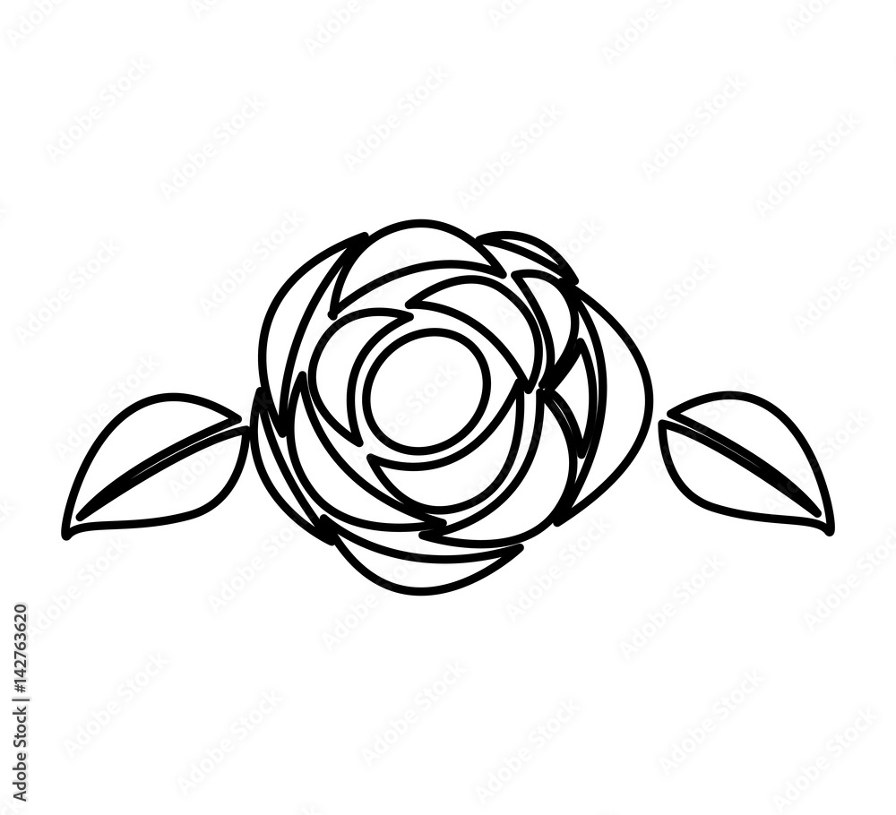 cute rose isolated icon vector illustration design cute rose isolated icon vector illustration design