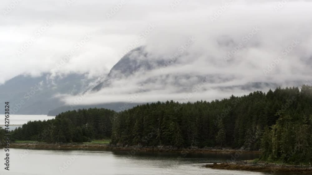 View of trees on and Island in Alaska View of trees on and Island in Alaska