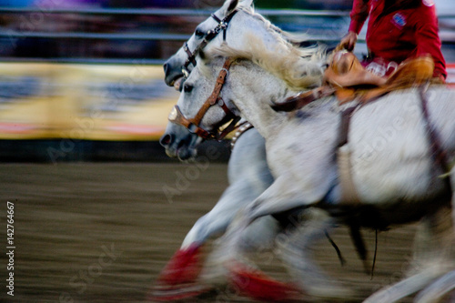 Rodeo Horses in tandem