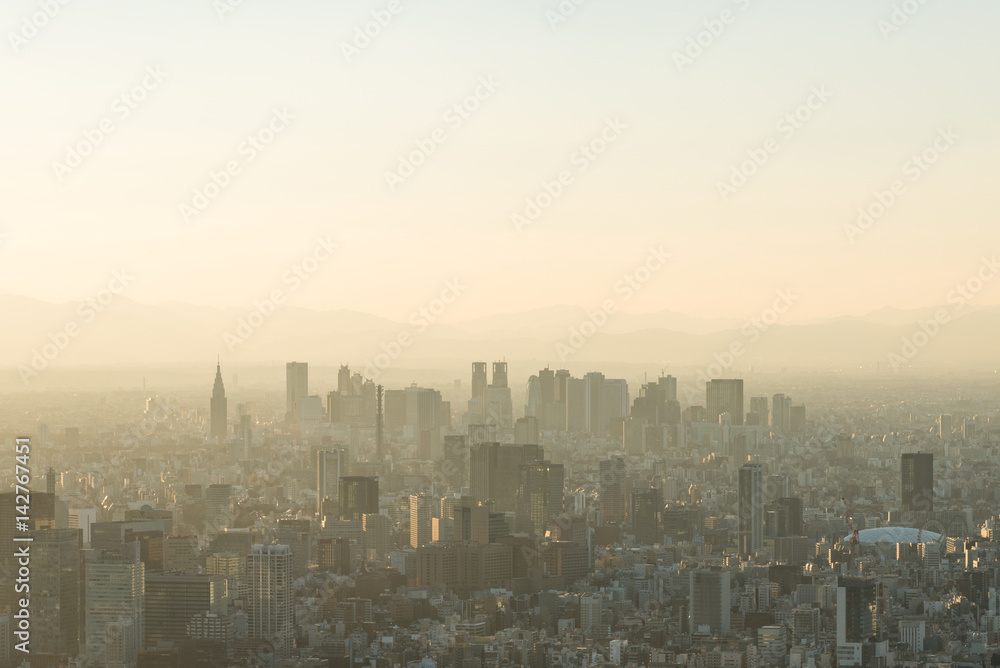 霧に霞む東京都心の風景