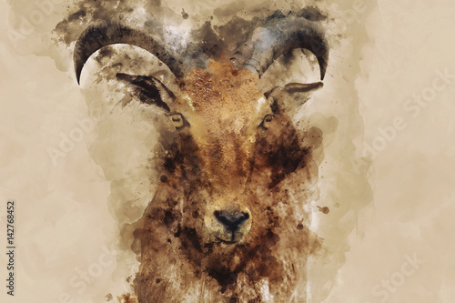 Akwarela obraz portretu kozy z rogami, cyfrowa ilustracja