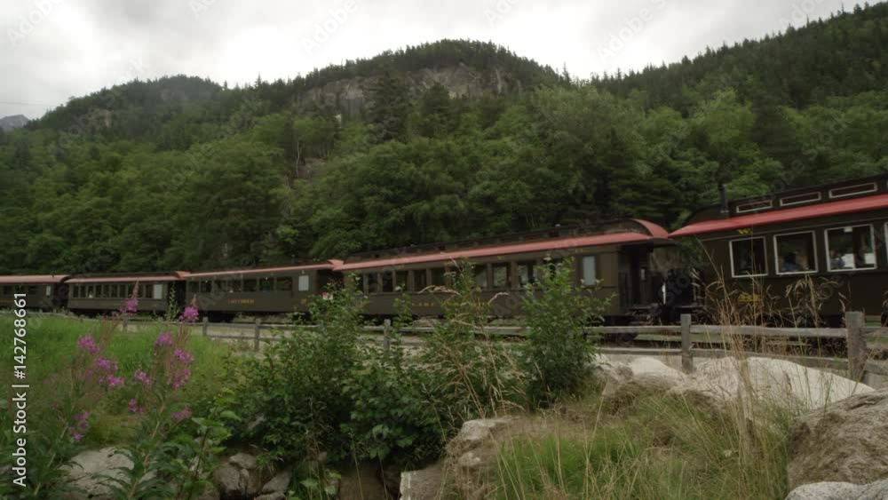 Static view of a train moving through the Alaska wilderness Static view of a train moving through the Alaska wilderness