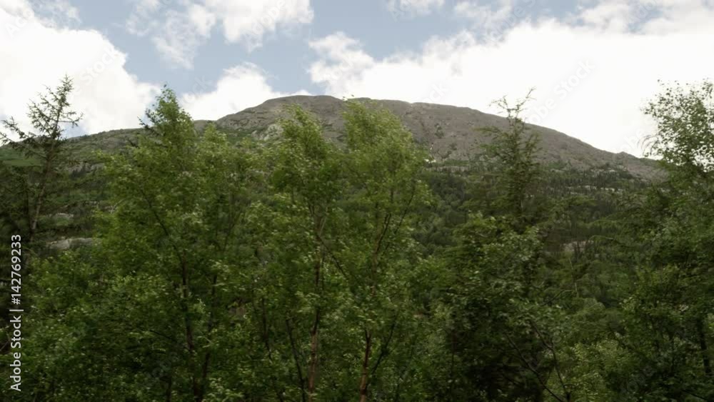 Panning view past trees looking up towards mountain top Panning view past trees looking up towards mountain top