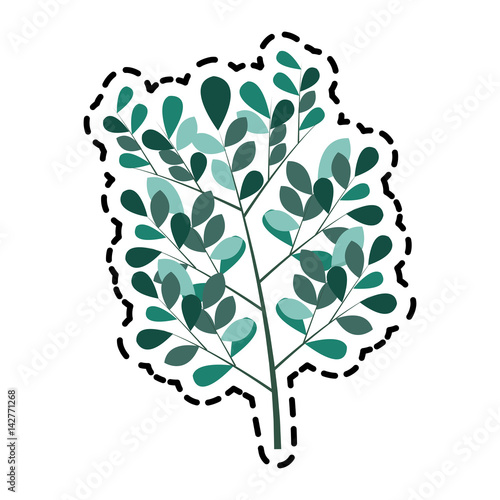 delicate flower branch icon image vector illustration design 