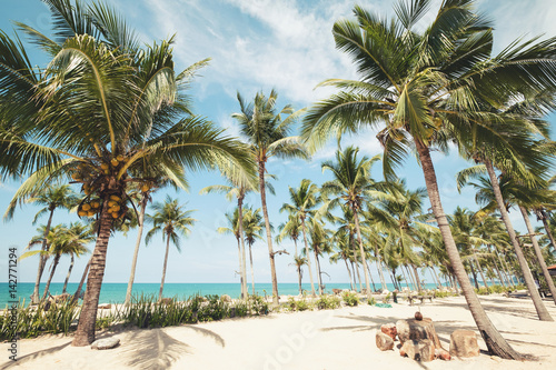 Photography Landscape of coconut palm tree on tropical beach in summer - vintage color tone effect
