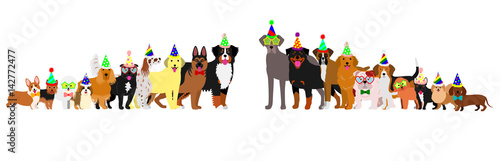 Border of dogs arranged in order of height