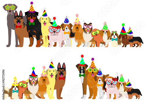 Border of dogs arranged in order of height