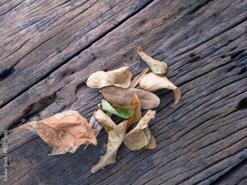 Dry Leaf on Old wood texture