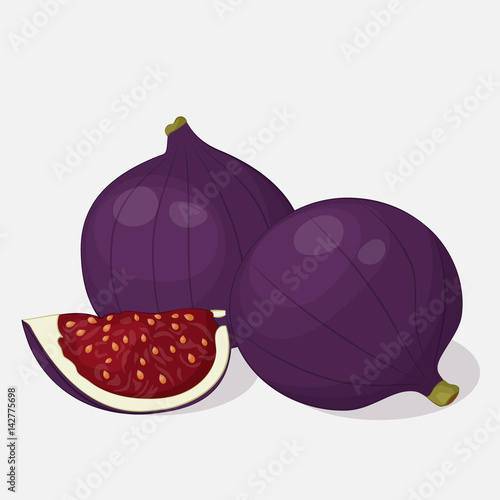Bright juicy fig on grey background. Sweet delicious for your design in cartoon style. Vector illustration. Fruit Collection.