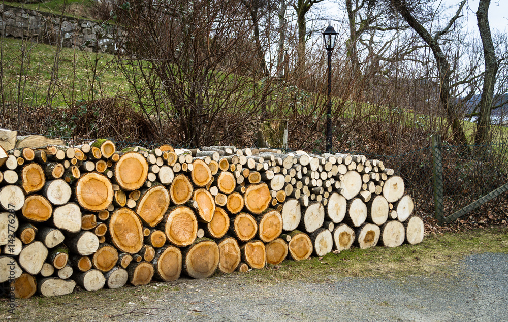 pile of natural wooden logs