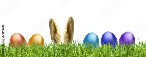 Osterhase mit Ostereiern  in der Wiese