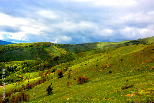 Mountain landscape of meadows 