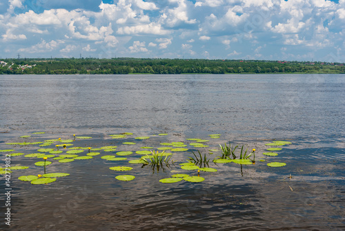 Peaceful landscape on a  Dnepr river at June  Ukraine