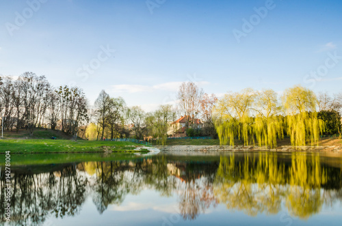 City park during the sunset