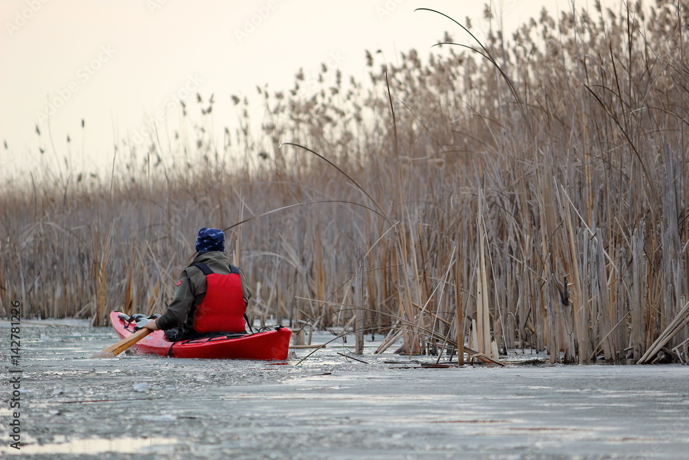 Man paddles a red kayak with wooden greenland paddle on frozen ice river beetwen floe with dry bulrush in calm winter day