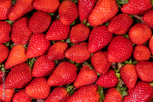 Flatlay von vielen frischen Erdbeeren