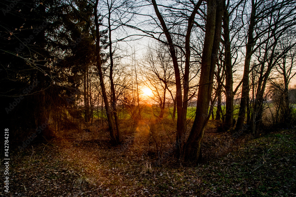 sunset in Europe Germany with a green field