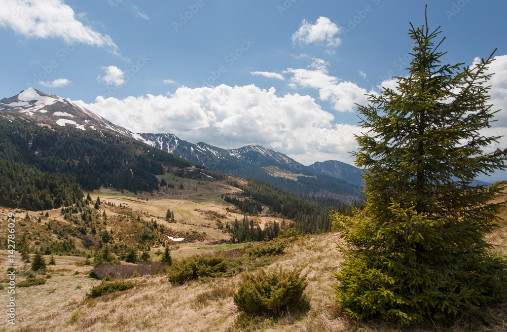 Naklejka premium Mountain landscape, Carpathians