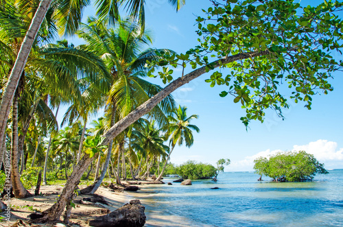 Ferien  Tourismus  Gl  ck  Freude  Ruhe  Auszeit  Meditation  Traumurlaub an einem einsamen Strand in der Karibik   