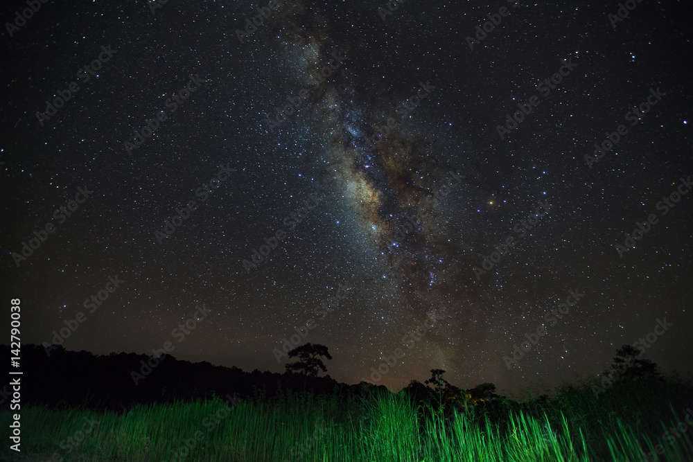 Fototapeta premium Milky Way and silhouette of tree at Phu Hin Rong Kla National Park,Phitsanulok Thailand, Long exposure photograph.with grain